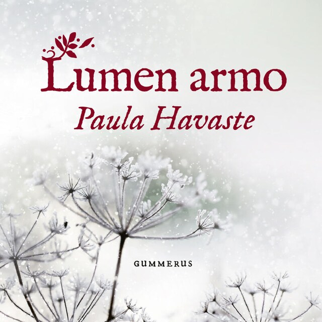 Copertina del libro per Lumen armo