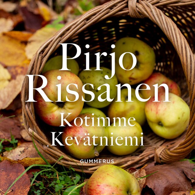 Buchcover für Kotimme Kevätniemi