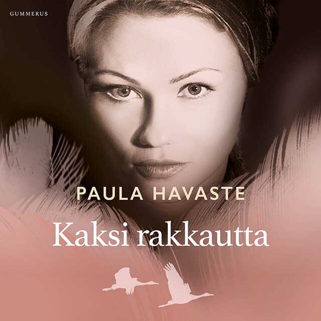 Copertina del libro per Kaksi rakkautta