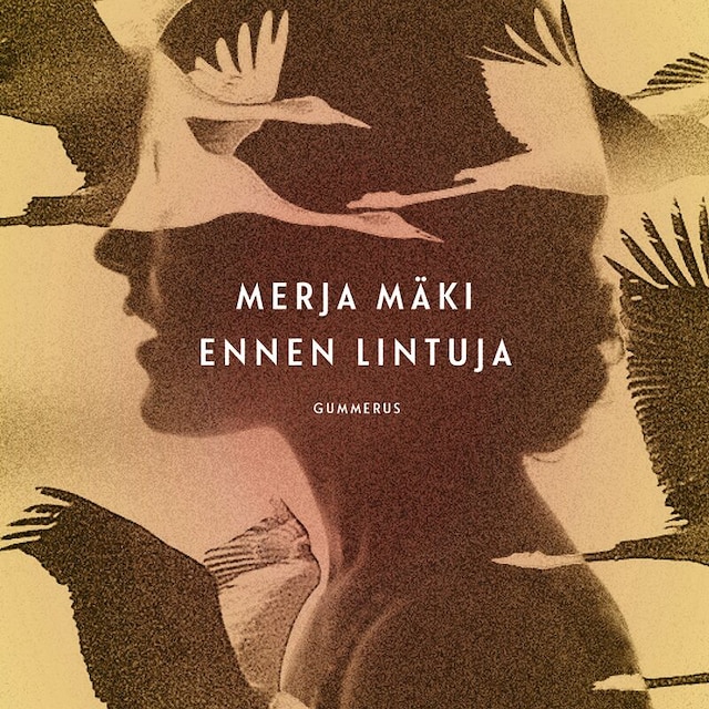 Buchcover für Ennen lintuja