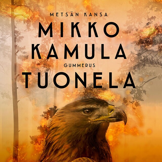 Copertina del libro per Tuonela