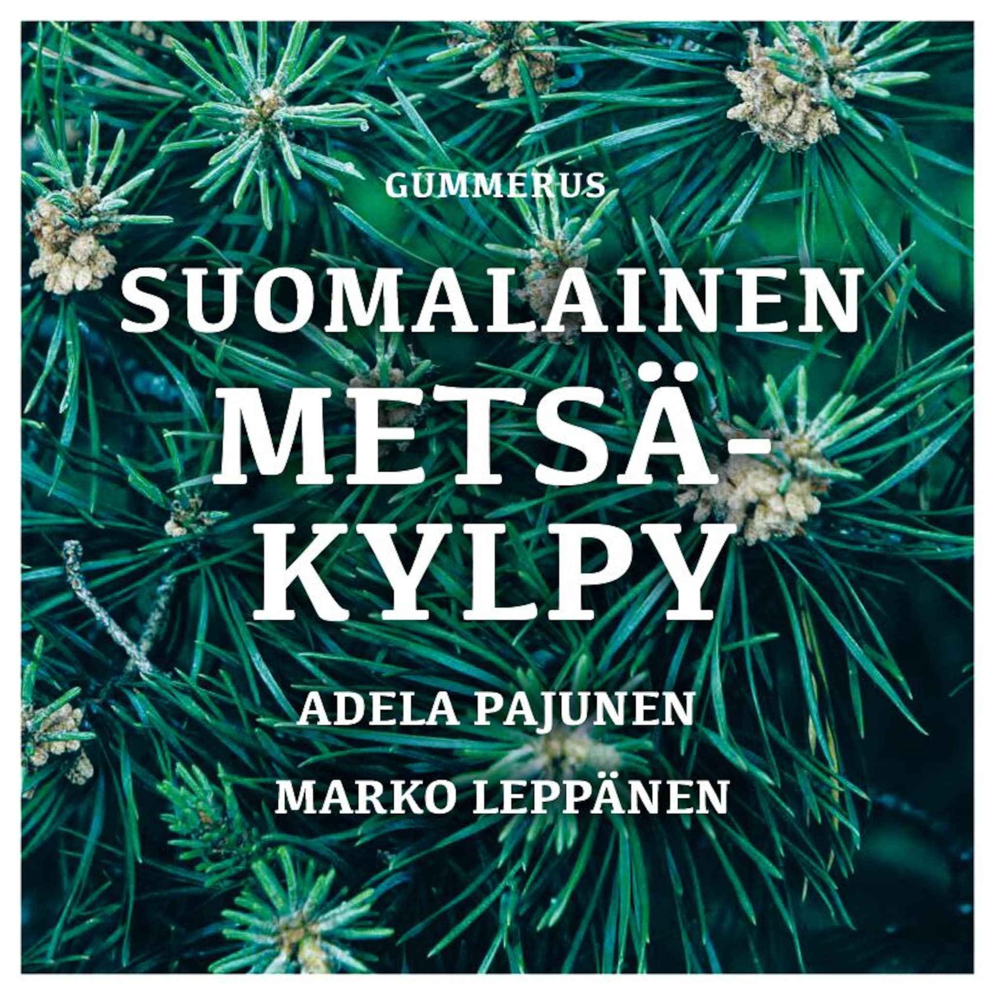 Äänikirjan Suomalainen metsäkylpy kansikuva