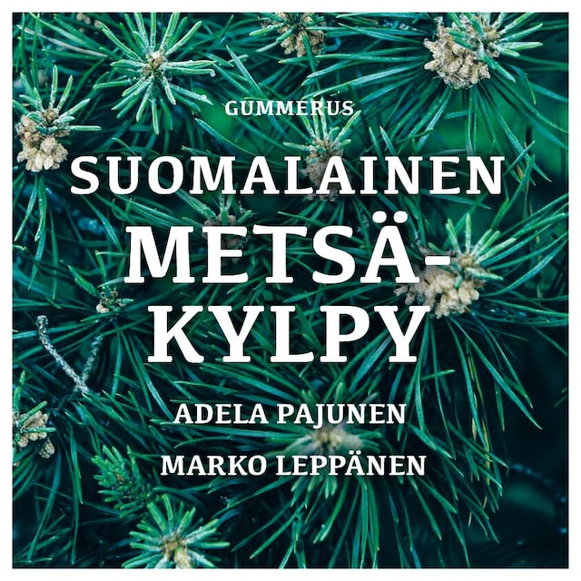 Okładka książki dla Suomalainen metsäkylpy