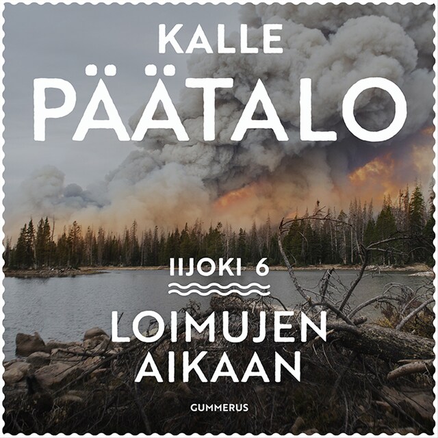 Book cover for Loimujen aikaan