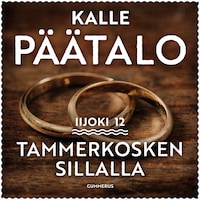 Tammerkosken sillalla