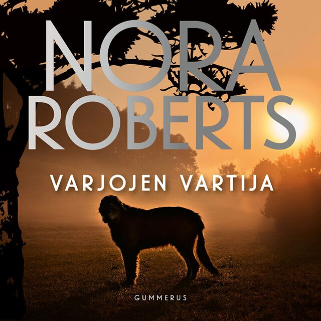 Book cover for Varjojen vartija