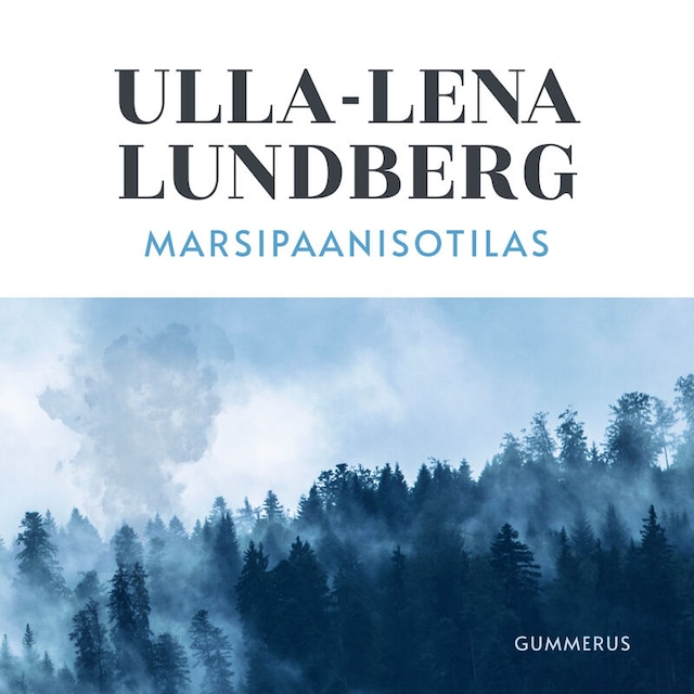 Book cover for Marsipaanisotilas