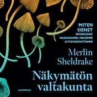 Näkymätön valtakunta