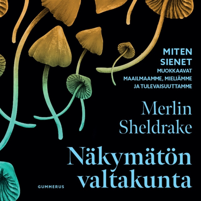 Book cover for Näkymätön valtakunta