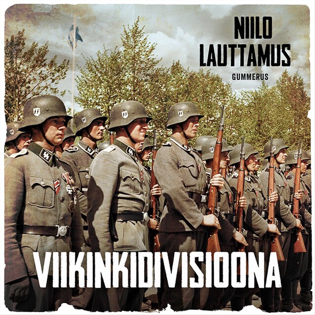 Book cover for Viikinkidivisioona