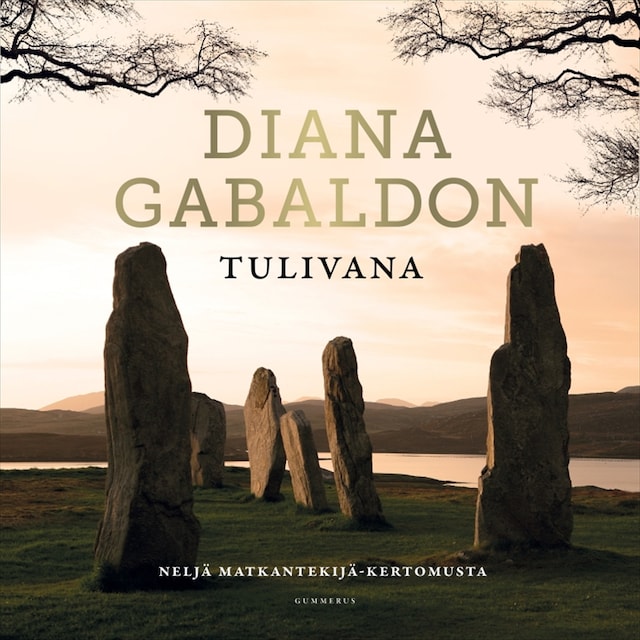 Book cover for Tulivana