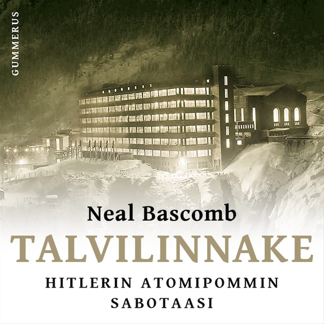 Buchcover für Talvilinnake