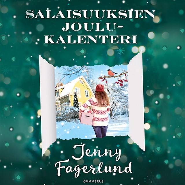 Book cover for Salaisuuksien joulukalenteri