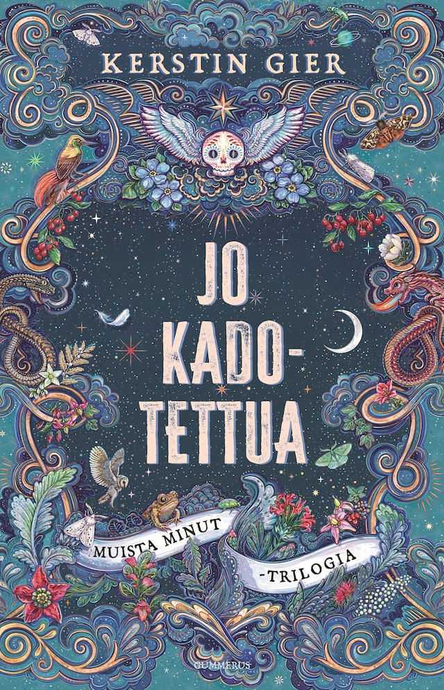 Book cover for Jo kadotettua