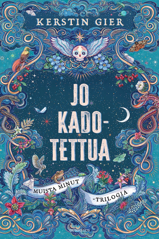 Book cover for Jo kadotettua