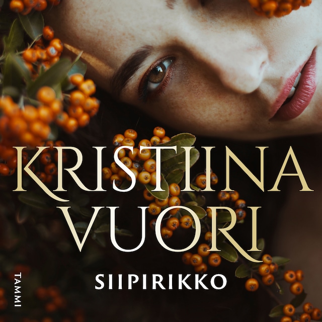 Book cover for Siipirikko