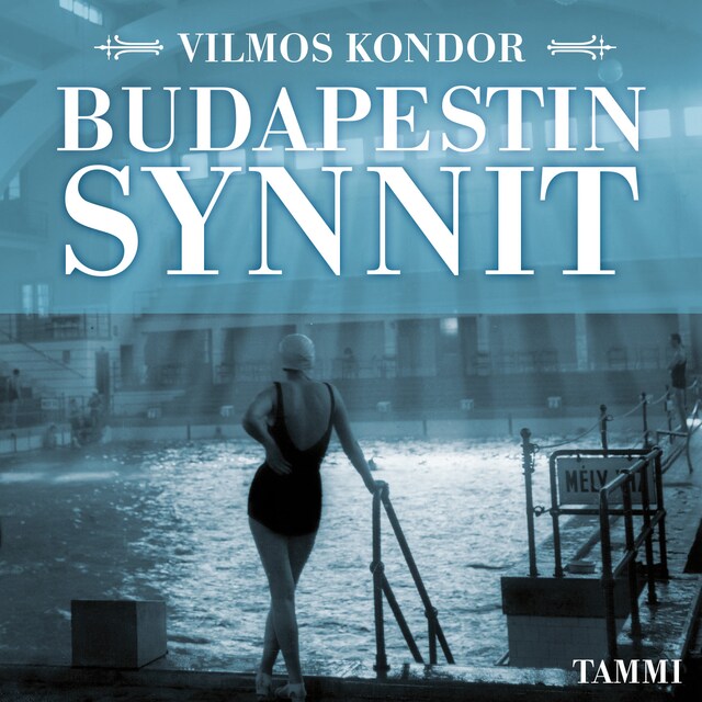 Buchcover für Budapestin synnit