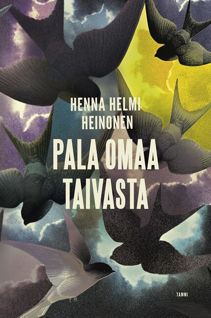 Pala omaa taivasta - Henna Helmi Heinonen - E-book - BookBeat