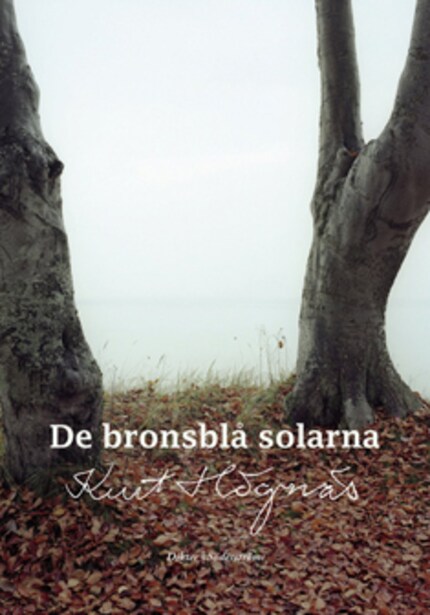 De bronsblå solarna bookCoverFor