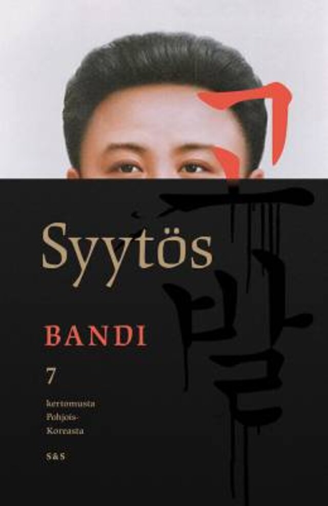 Book cover for Syytös