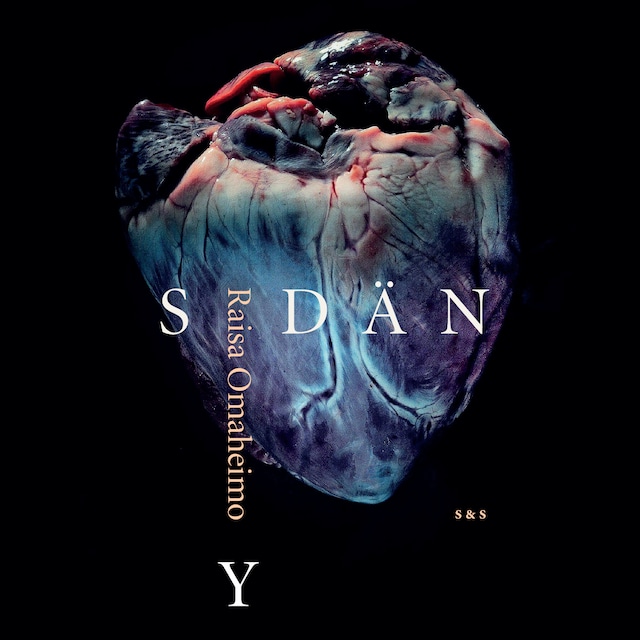Book cover for Sydän