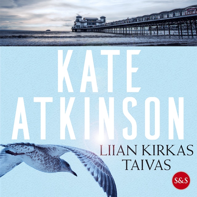 Book cover for Liian kirkas taivas