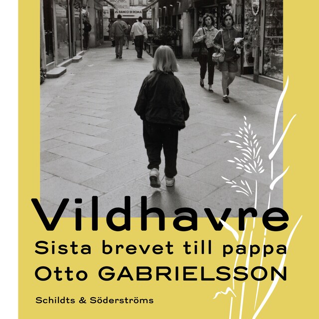 Book cover for Vildhavre