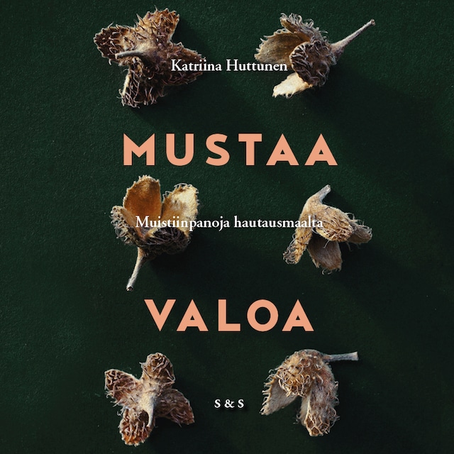 Book cover for Mustaa valoa