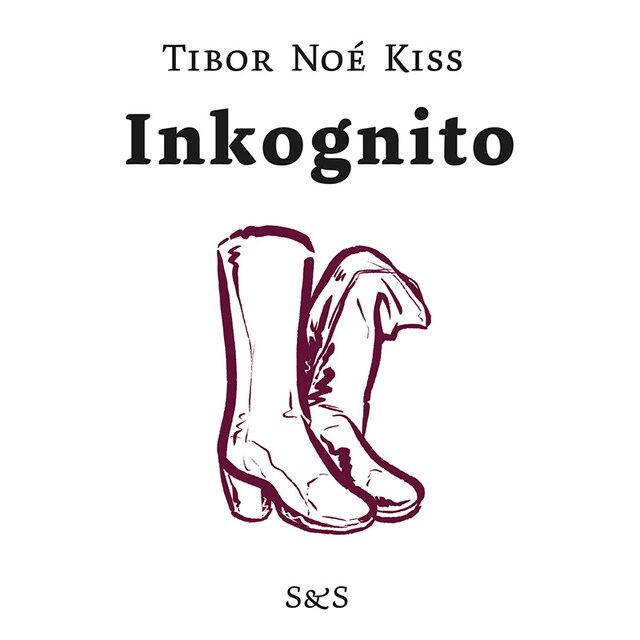 Book cover for Inkognito
