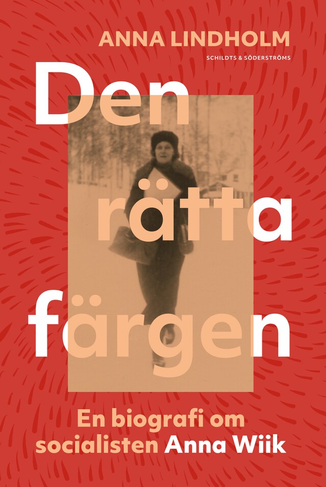 Portada de libro para Den rätta färgen