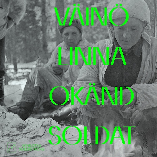 Book cover for Okänd soldat