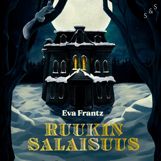 Book cover for Ruukin salaisuus