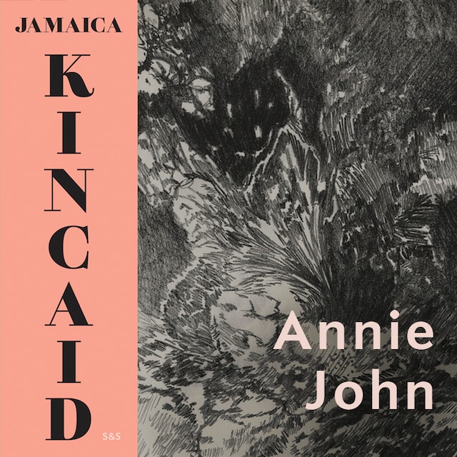 Boekomslag van Annie John