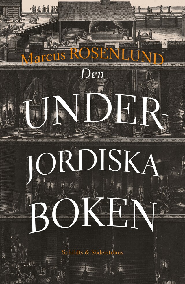 Buchcover für Den underjordiska boken