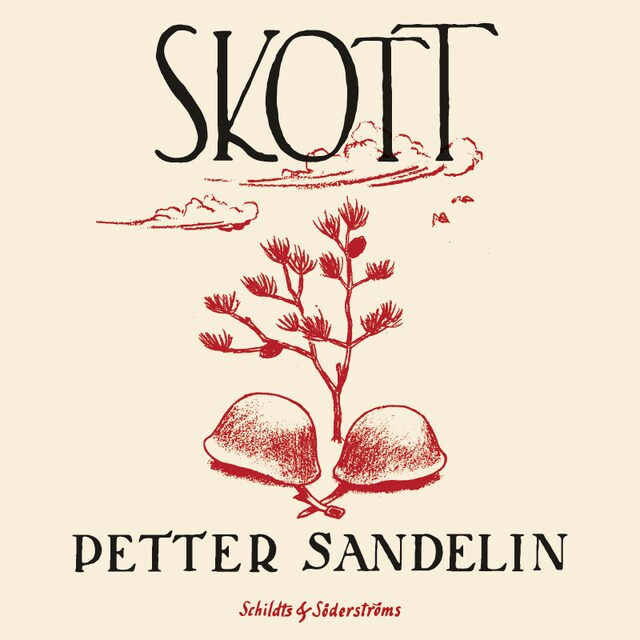 Book cover for Skott