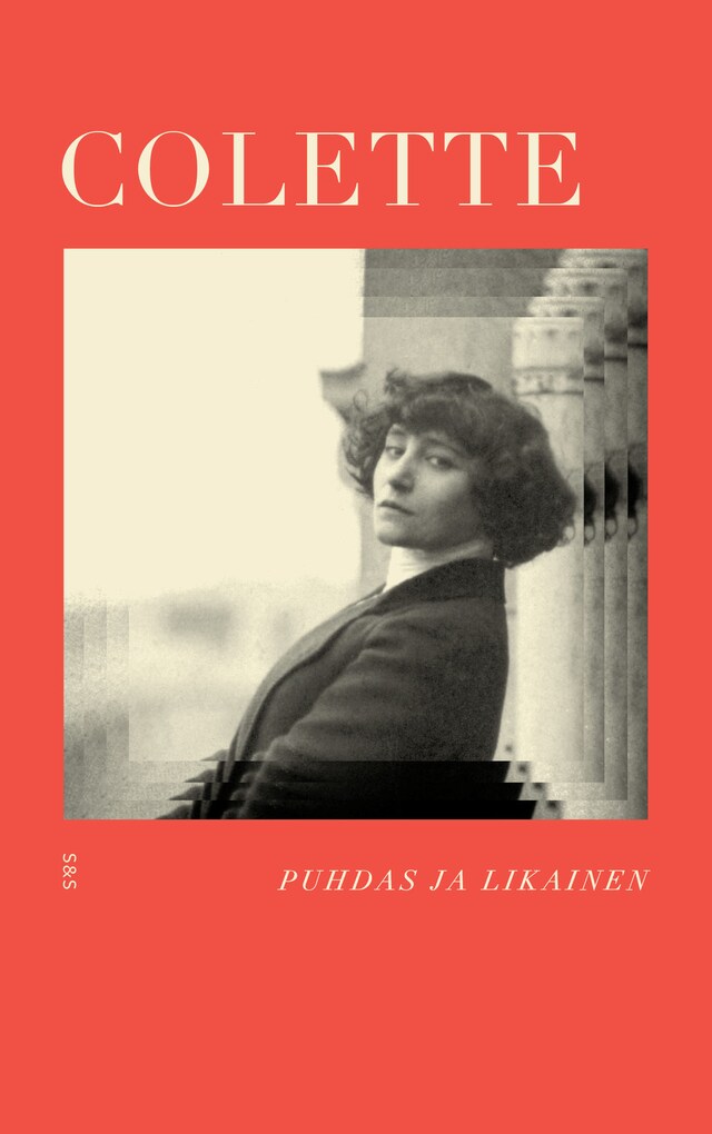 Book cover for Puhdas ja likainen