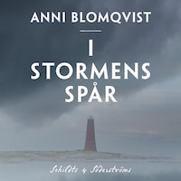 I stormens spår