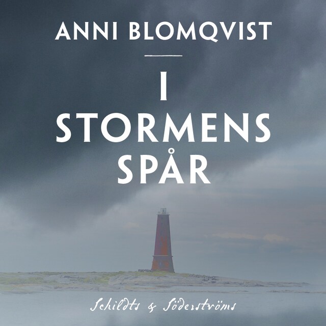 Book cover for I stormens spår