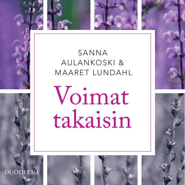 Book cover for Voimat takaisin
