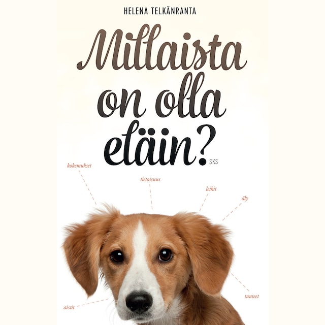 Boekomslag van Millaista on olla eläin?