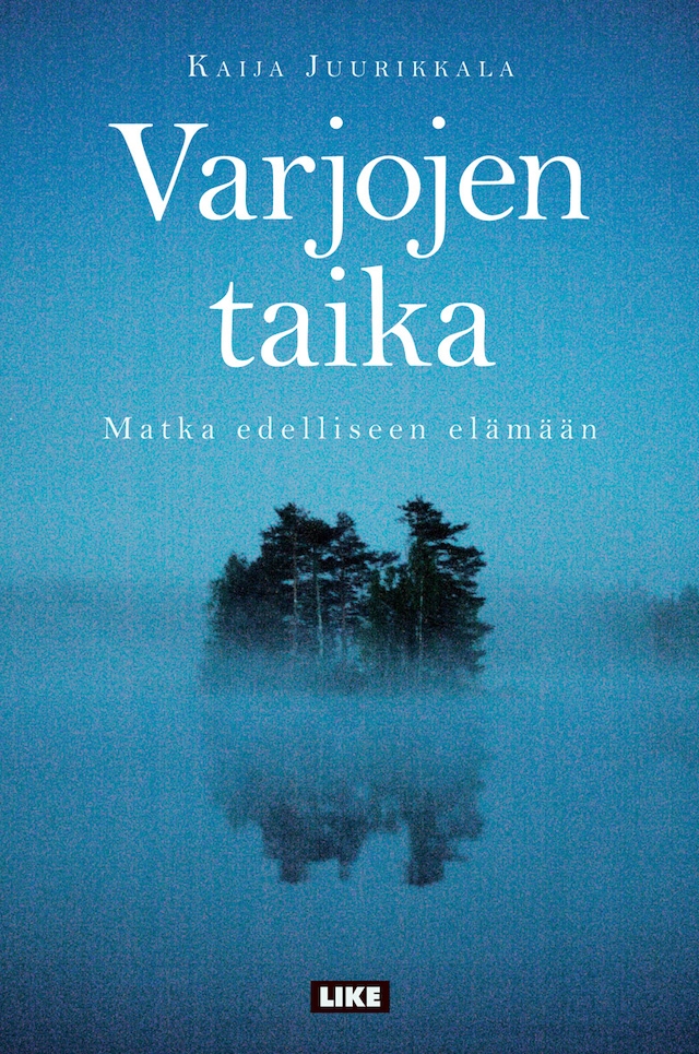 Book cover for Varjojen taika