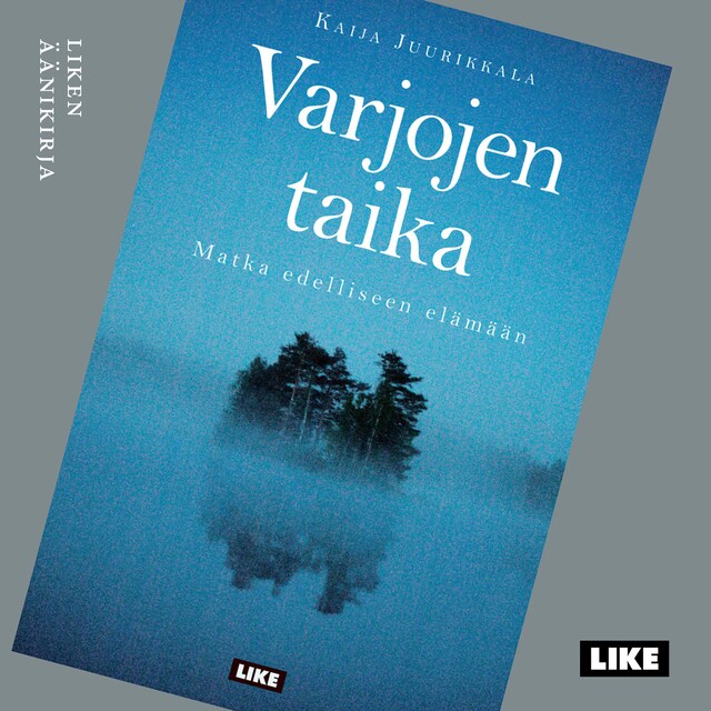 Book cover for Varjojen taika (mp3)