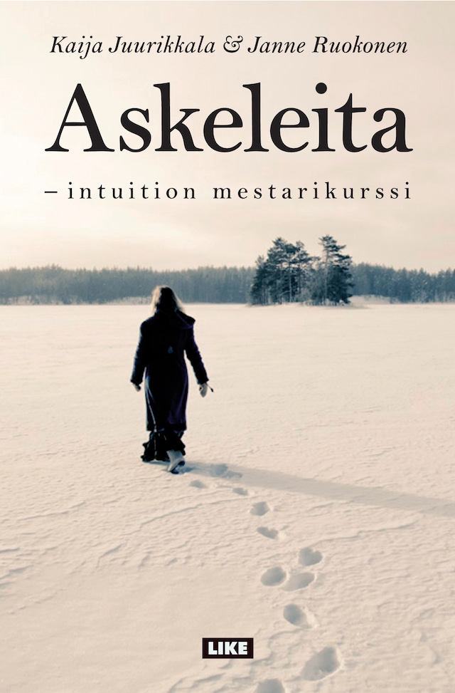 Book cover for Askeleita