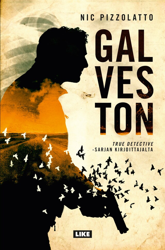 Copertina del libro per Galveston