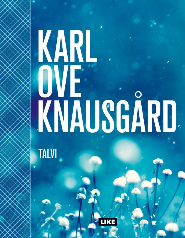 Book cover for Talvi
