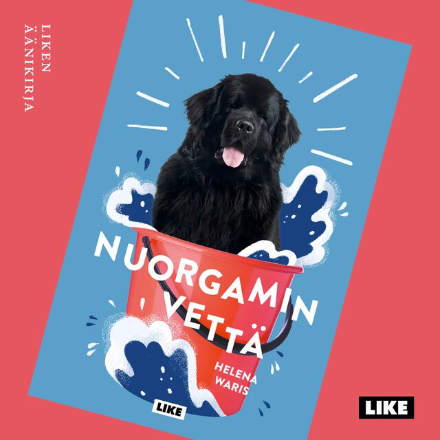 Book cover for Nuorgamin vettä