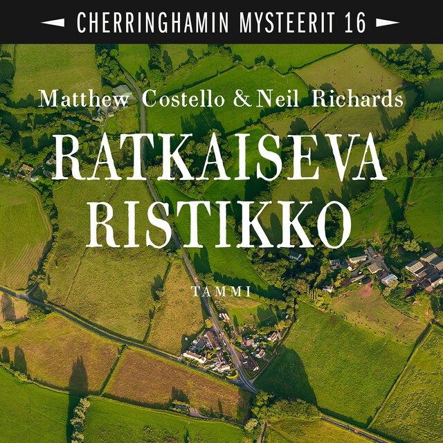 Book cover for Ratkaiseva ristikko