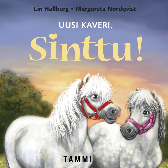 Book cover for Uusi kaveri, Sinttu!