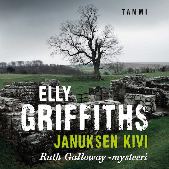 Buchcover für Januksen kivi