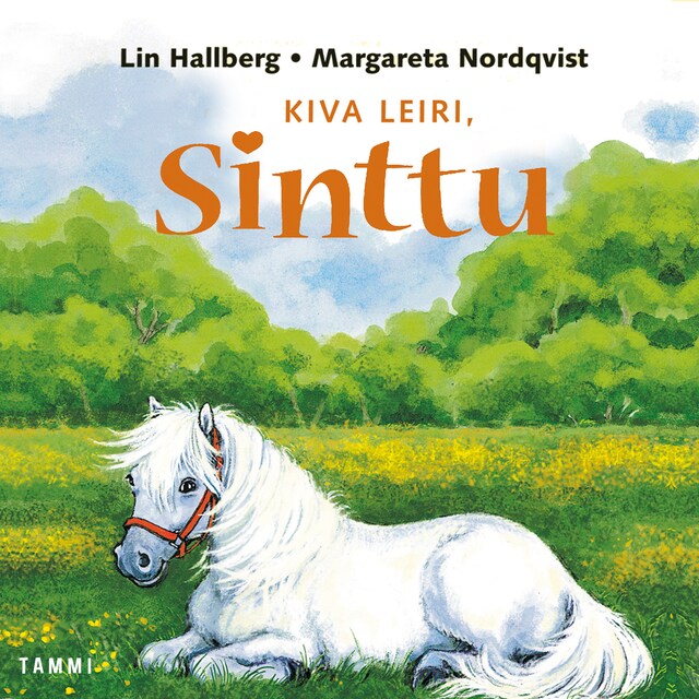 Copertina del libro per Kiva leiri, Sinttu